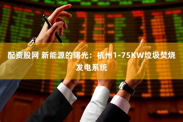 配资股网 新能源的曙光：杭州1-75KW垃圾焚烧发电系统