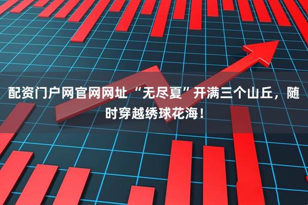 配资门户网官网网址 “无尽夏”开满三个山丘，随时穿越绣球花海！